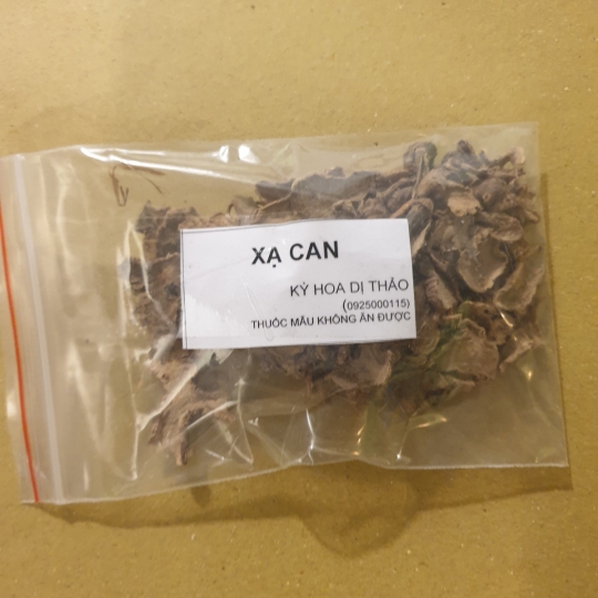 Xạ can