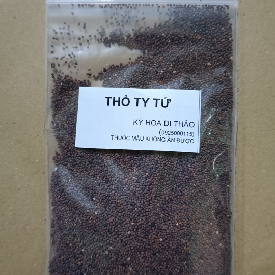 Thỏ ty tử