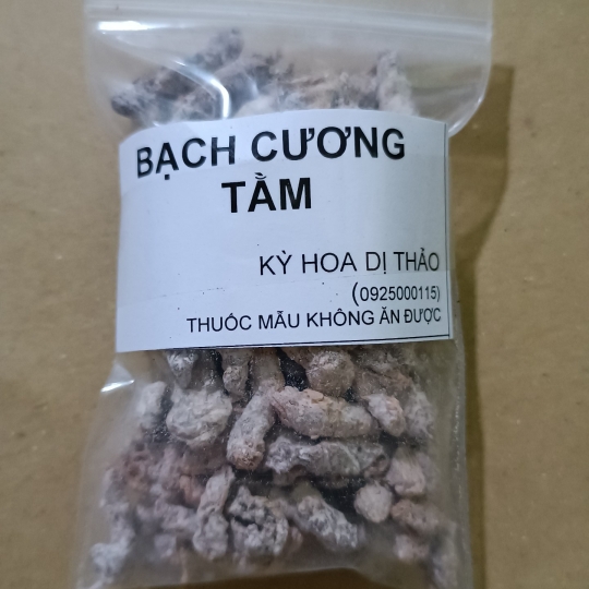 Bạch cương tầm 
