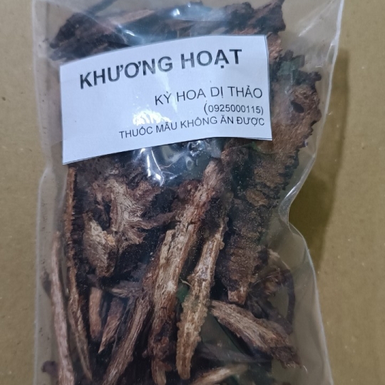 Khương hoạt