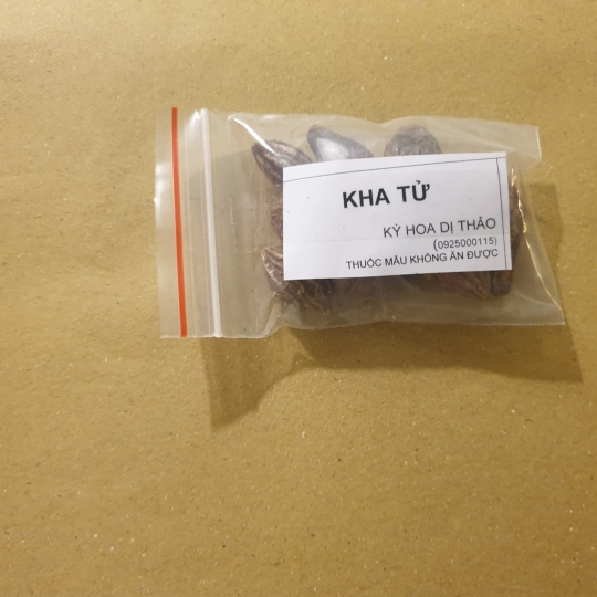 Kha tử