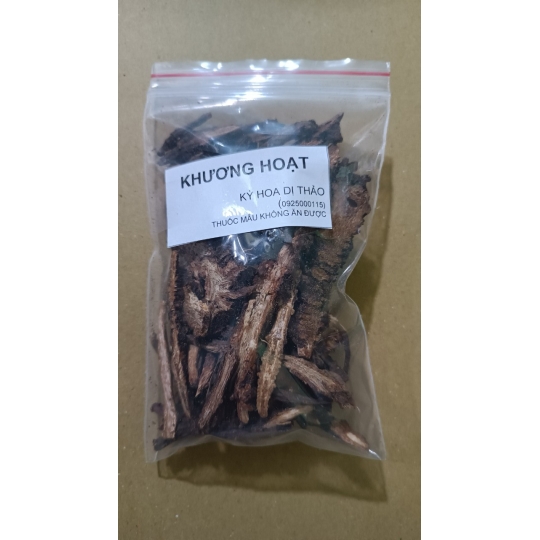 Khương hoạt